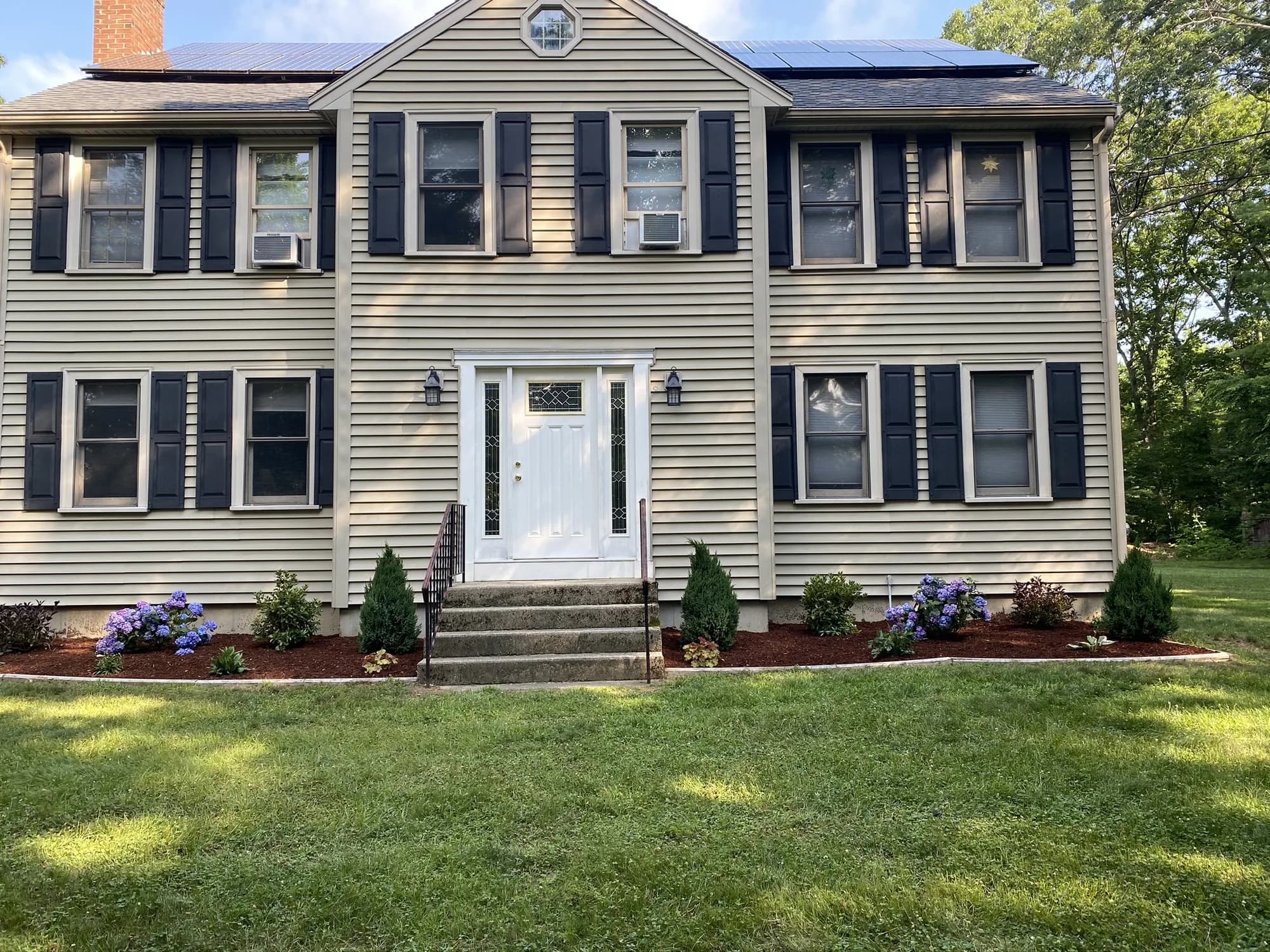Hydrangeas and upright evergreens in neatly edged planting beds along a residential front entrance