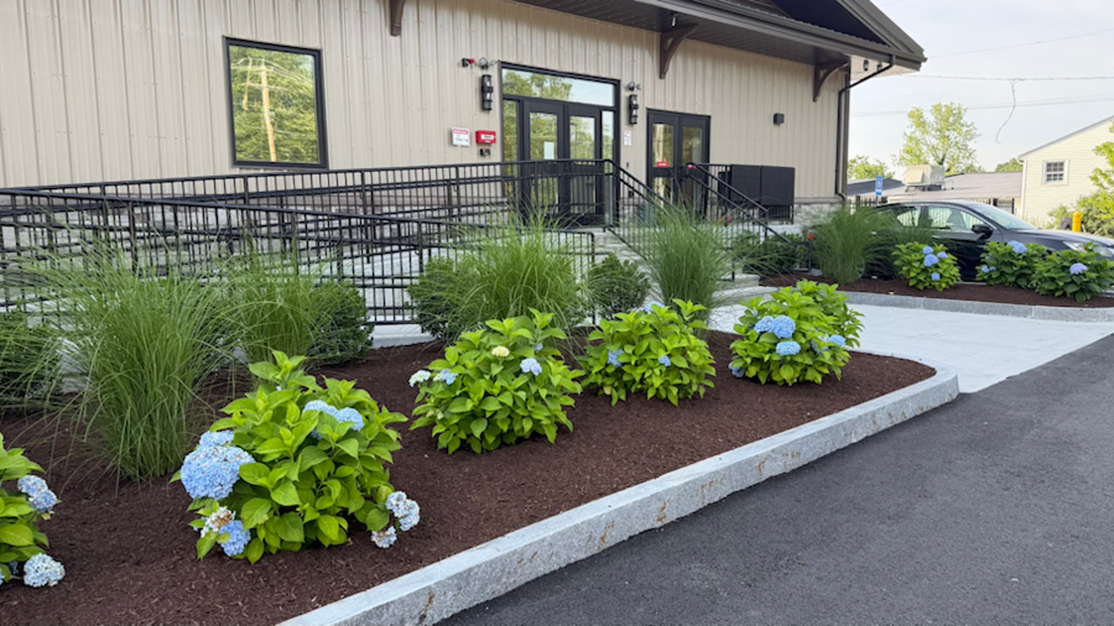 Established hydrangeas and ornamental plantings at a commercial property