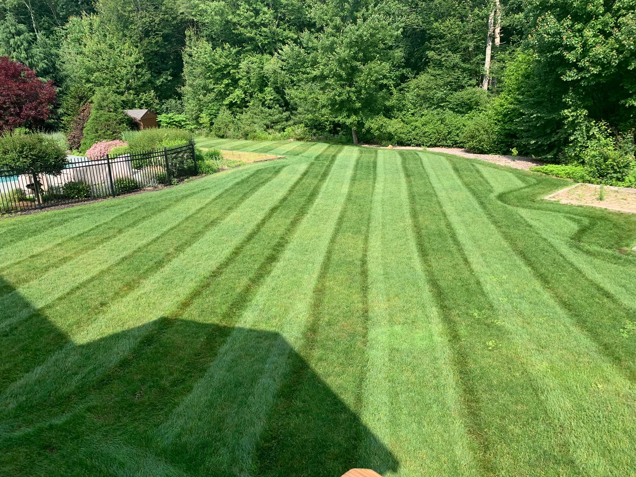 Finished residential lawn with clean mowing stripes