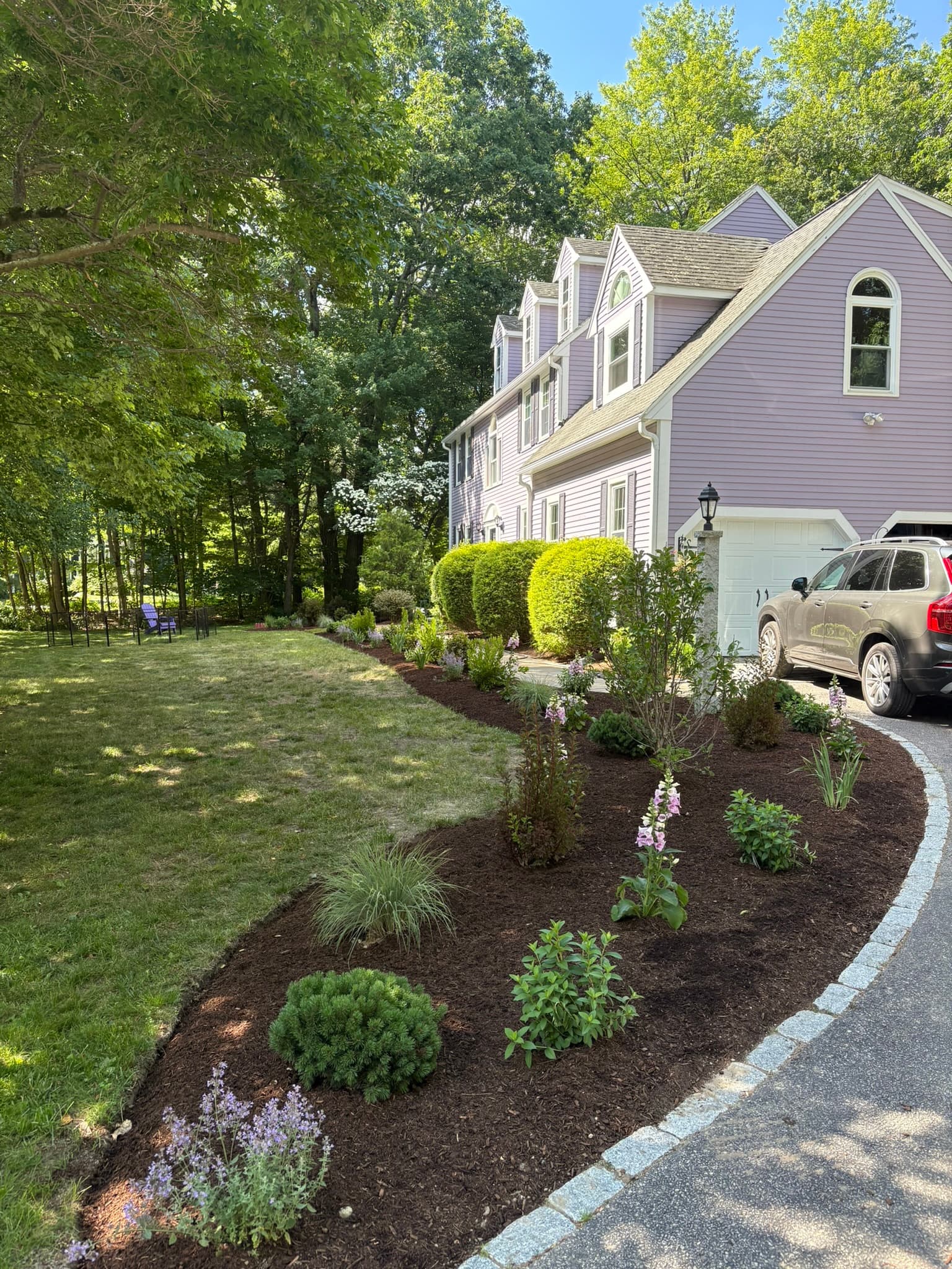 Freshly mulched curved planting bed with shrubs and flowers beside a residential lawn