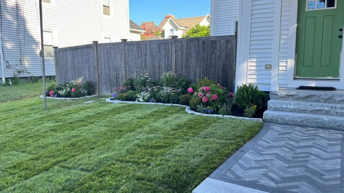 Finished front property with new sod, plantings, and a herringbone paver entry