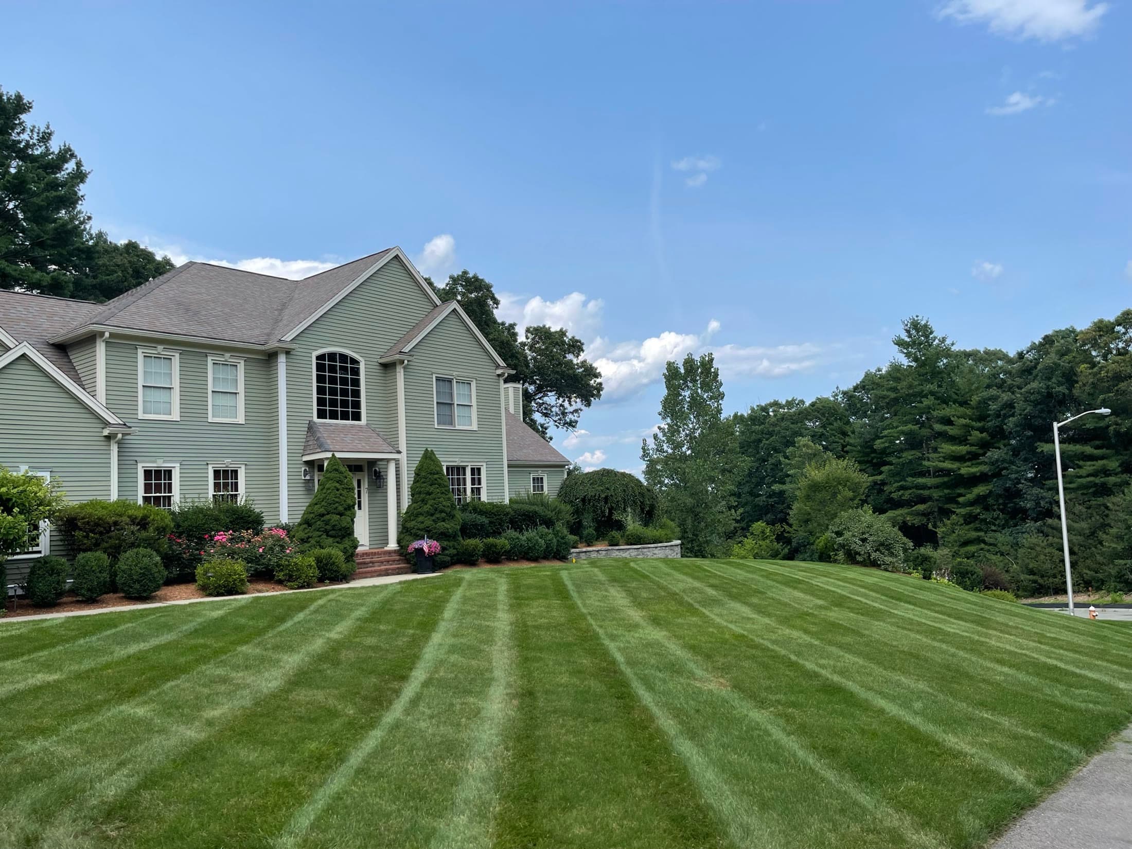 Freshly striped residential lawn with neatly maintained planting beds